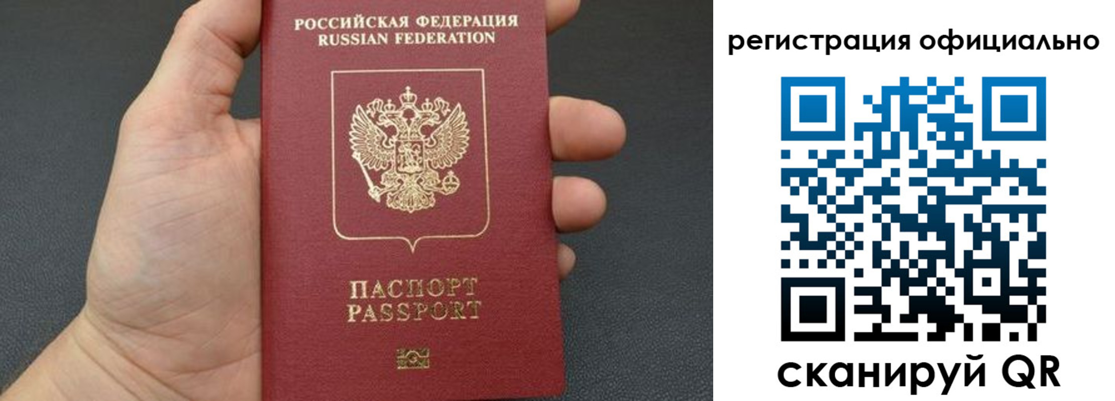 прописка в Московской области